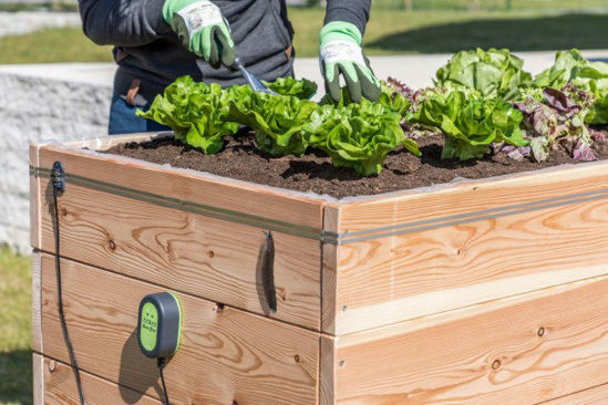 Kerbl snailstop startset slakkenverdrijverset