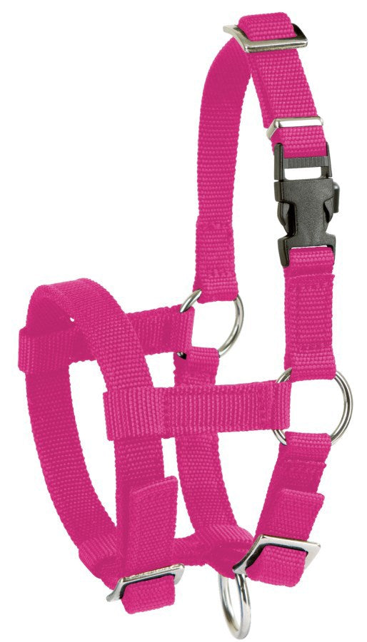 Alpaca halter pink