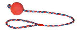Foam Rubber Ball on Rope 60cm