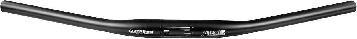 Ergotec Moon che guida