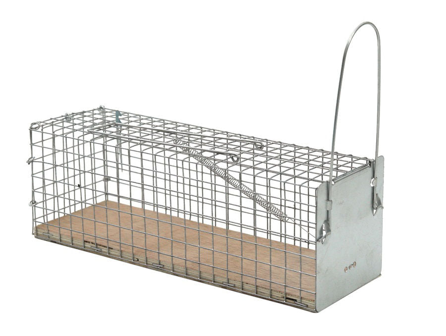 Protect home vangkooi ratten 1 stuks