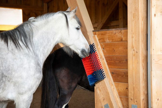 Halfronde koeborstel veeborstel blauwrood xl