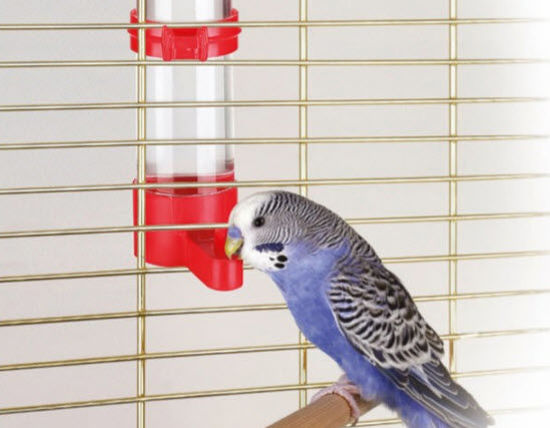 Kerbl vogeldrinkbak 16 cm 130 ml