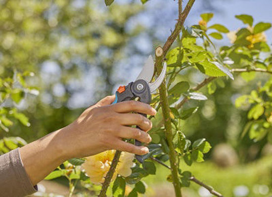 Gardena snoeischaar supercut flex