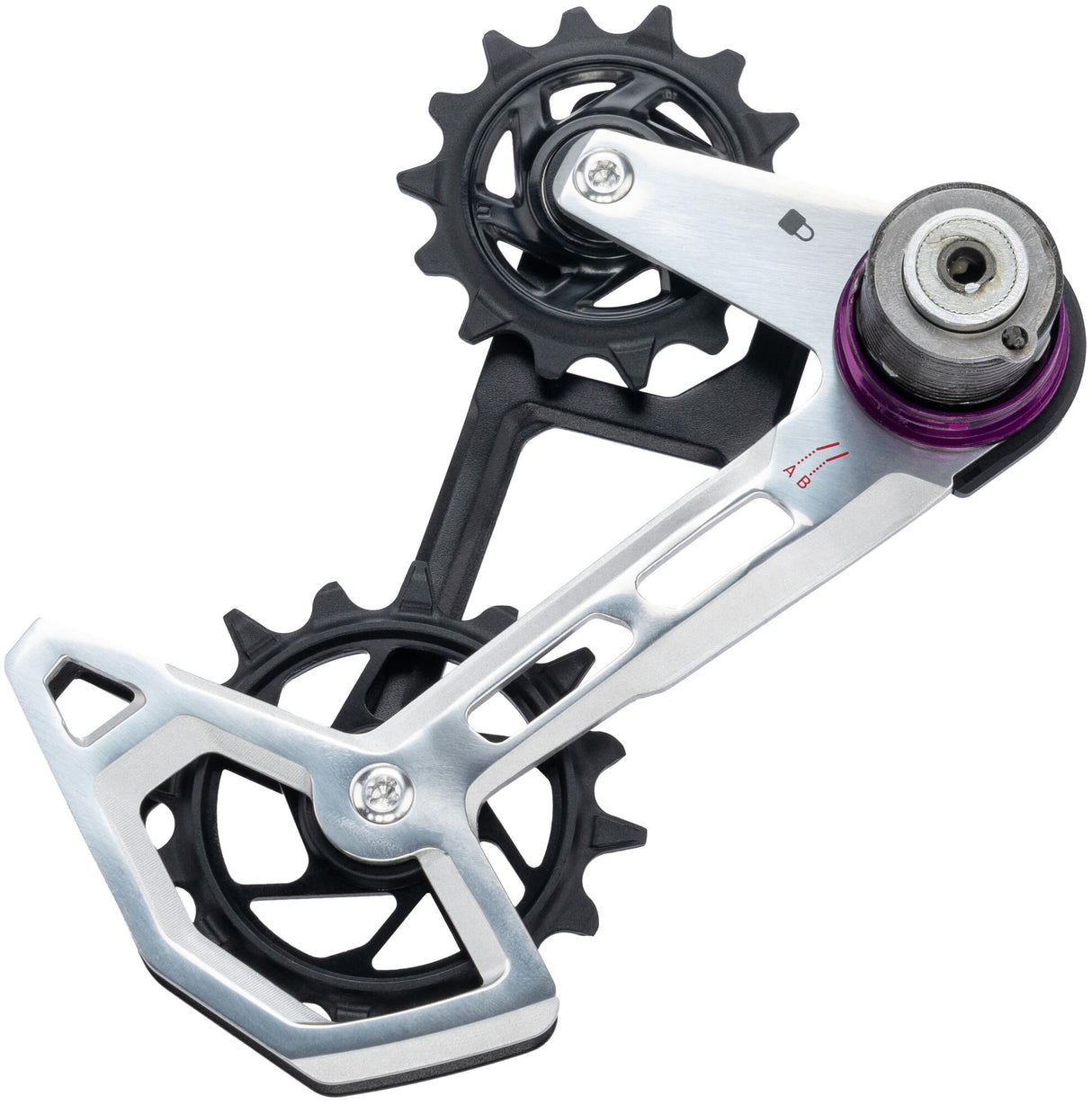 Sram kooi xx eagle cage kit axs