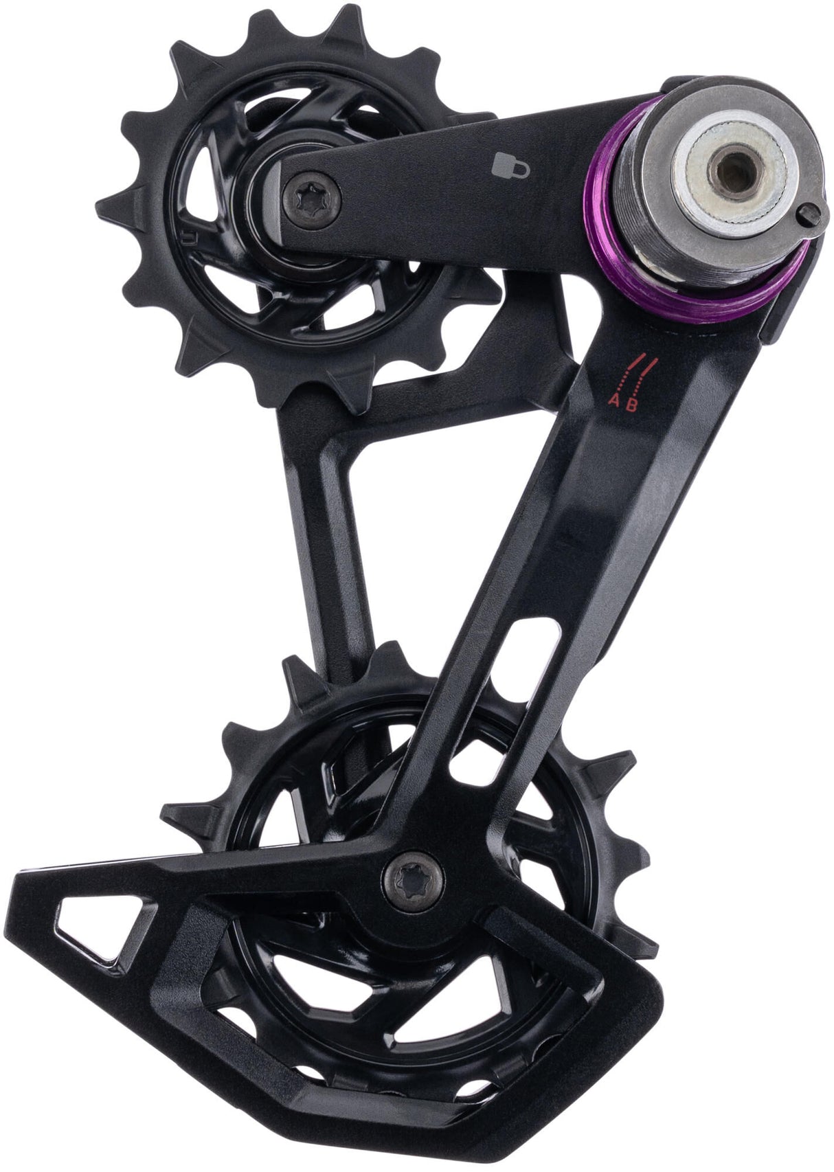 Sram cage x0 eagle cage kit axs
