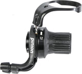 Pinion rotary adjuster twist grip shifter for ds2.12