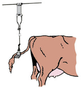 Staartbinders nylon elastisch %c3%a0 10st