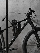 Lenklock combination cable lock .