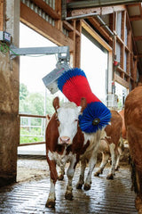 Happycow koeborstel maxiswing