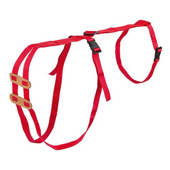 Lijfbieder bandage prolapsbandage voor schapen