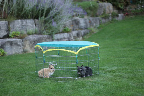 Konijnenren buitenren 6 hoekig met beschermnet