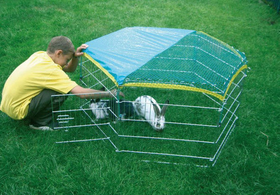 Konijnenren buitenren 6 hoekig met beschermnet