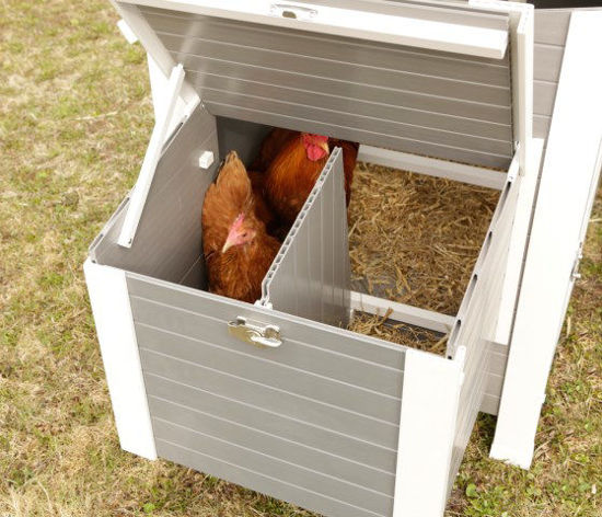 Kippenhok eco stal kunststof barney