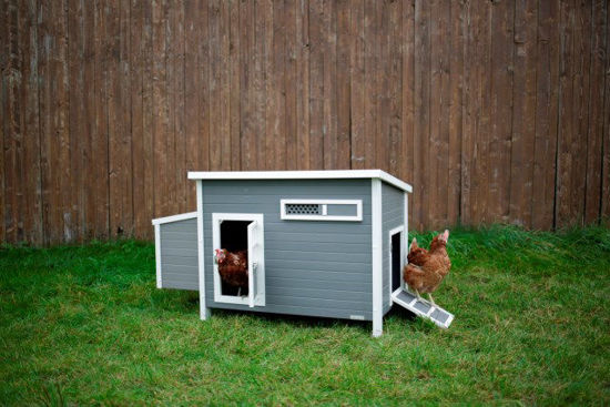 Kippenhok eco stal kunststof barney