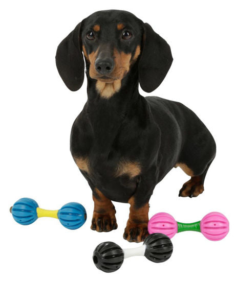 Hondenspeelgoed halter | 32 stuks