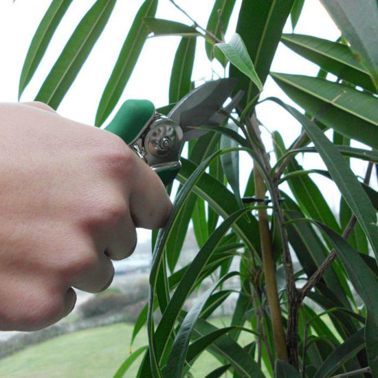 Mm eurotool bloemenschaar mini