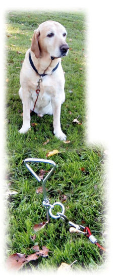 Aanlegspiraal 8mm x 40cm met looplijn 5mm x 6m