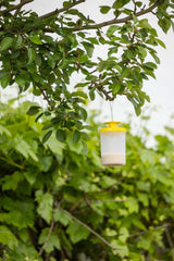 Kerbl vliegenval flycage3