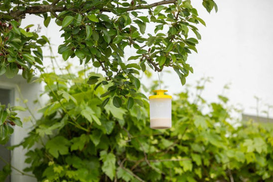 Kerbl vliegenval flycage3