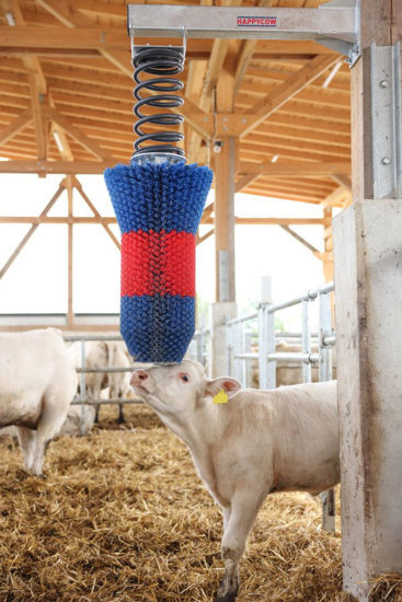 Happycow veeborstel flexiswing