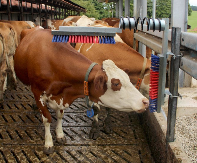Products cattle brush set kerbl