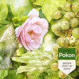 Pokon bio trattamento per rose resistenti e sane spray 750ml