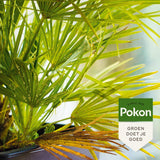 Pokon bio contra insectos persistentes concentrado 175ml poli