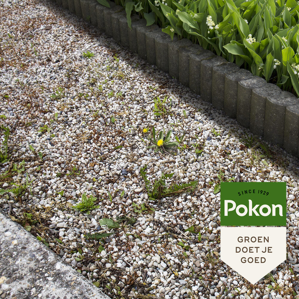 Pokon proti burine koncentrát 450ml
