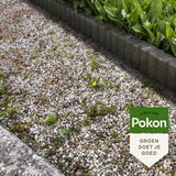 Pokon proti burine koncentrát 450ml