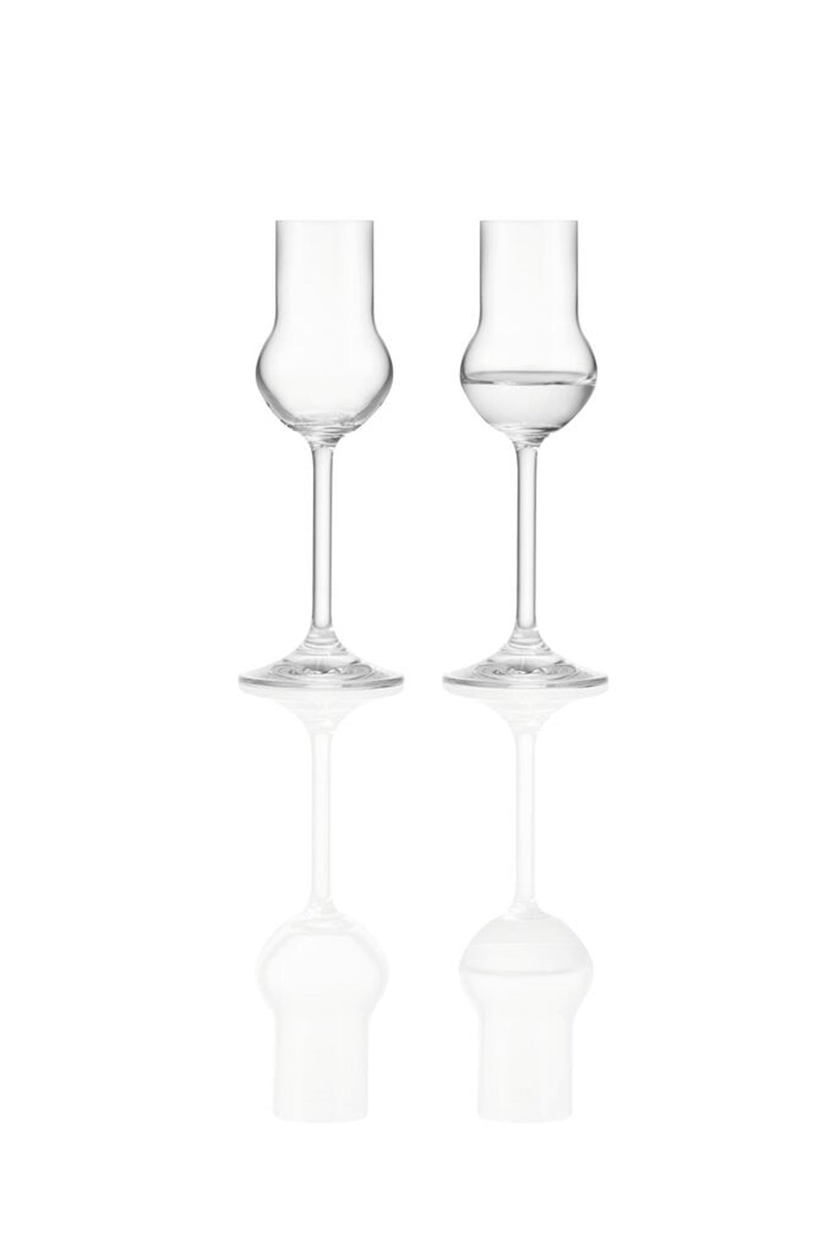 Kieliszki do czystego likieru Montana 6szt. 60ml