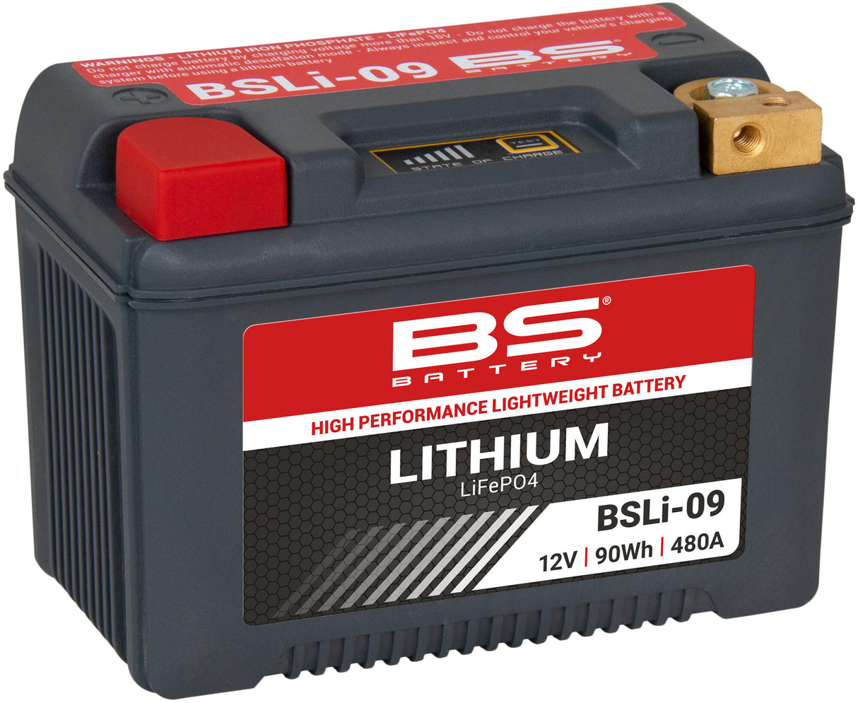 Bs-battery lifepo4 batterij bsli-09 .