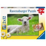 Ravensburger - Farm Animals Jigsaw Puzzle 2x12 pieces