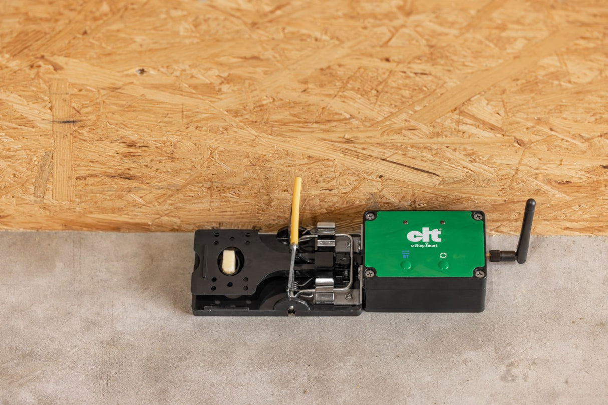 Råttfälla smart cit ratstop