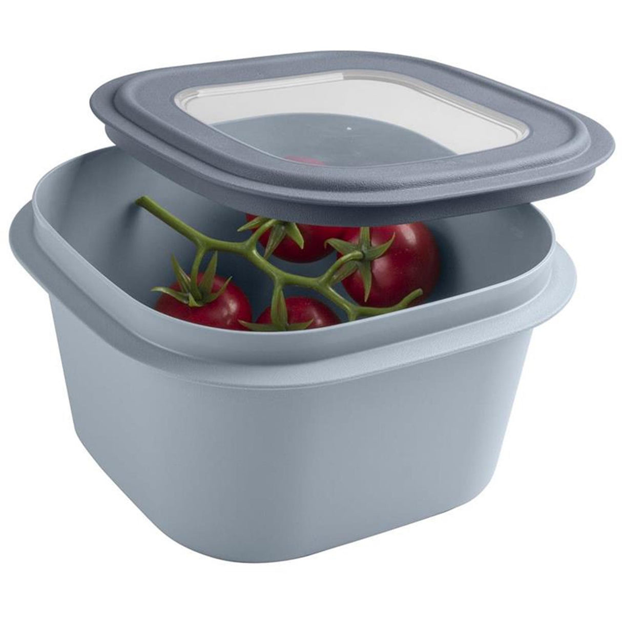 Sunware vershouddoos 1,8l blauw