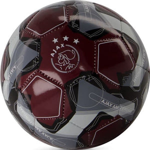 Descriptive image text