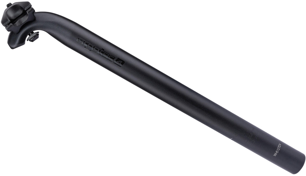 Ergotec patent-zadelpen hook