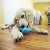 West Paw West Paw Dog Toys With Zogoflex Tux S Aquaflaw