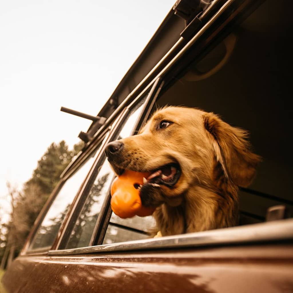 West Paw West Paw Dog Toys With Zogoflex Tux S Mandarin Orange