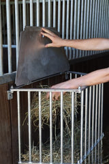 Abi Raufe Slowfeed plus verzinkte Futtersparraufe