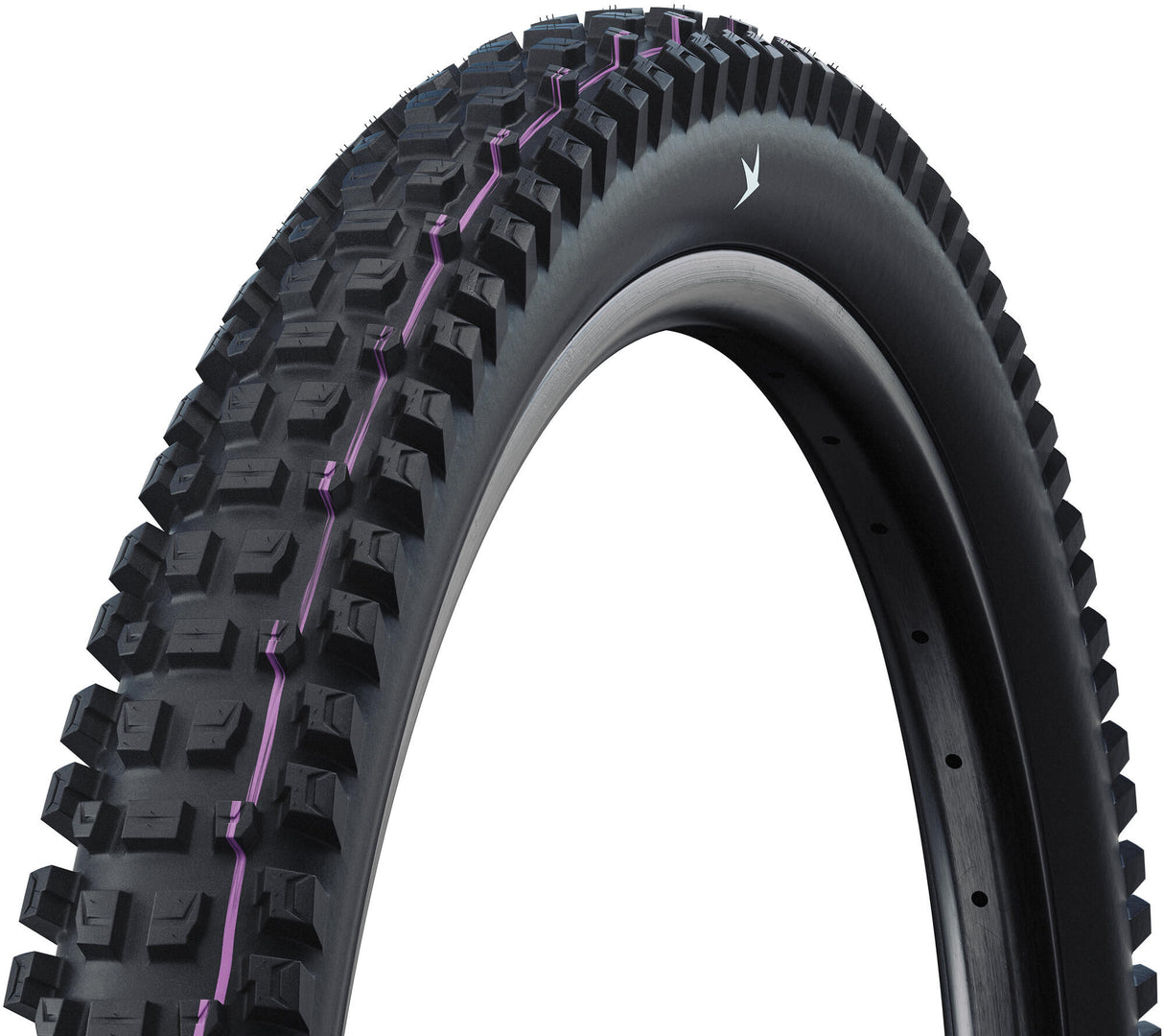 Schwalbe albert pro evolution line buitenband folding tr. albe 63-584 b b evo