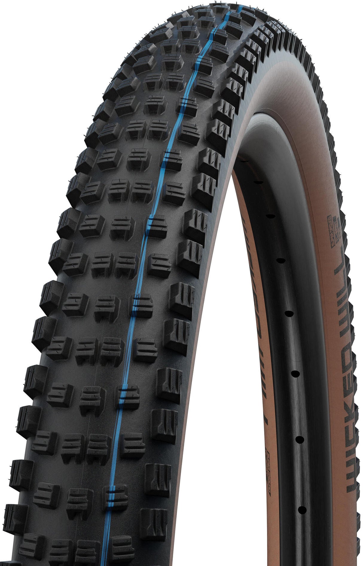 Schwalbe Outer Tire "Wicked Will" Boinn Evolution Tire Schwalbe Wicked Evol.Line 62-622