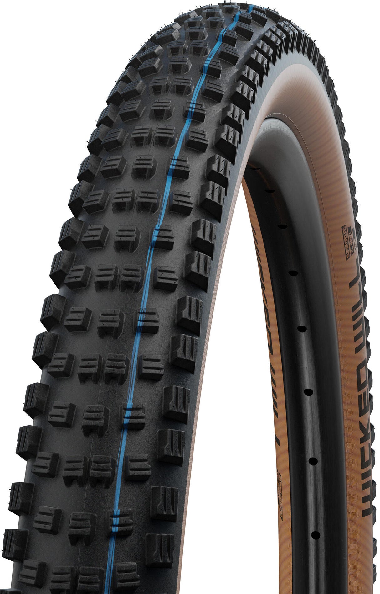 Schwalbe Outer Tire "Wicked Will" Boinn Evolution Tire Schwalbe Wicked Evol.Line 62-584