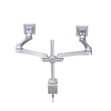 Neomounts FPMA-D930D Dual LCD LED TFT Office Teun, 2x 10-30, 15 kg, 0-50 cm, 75x75, 100x