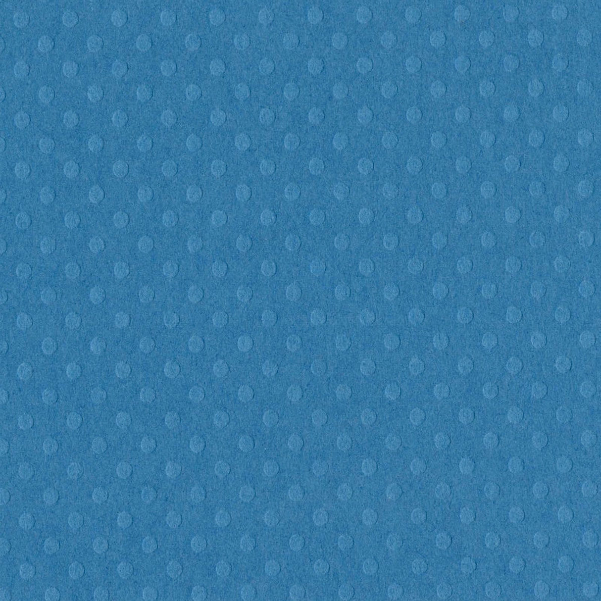 Bazzill • dot swiss 30.5x30.5cm сърфира нагоре