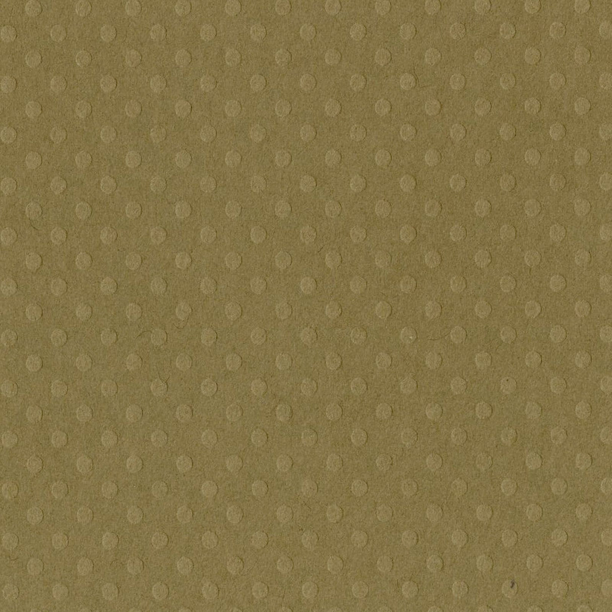 Bazzill • dot swiss 30,5x30,5cm charco de barro