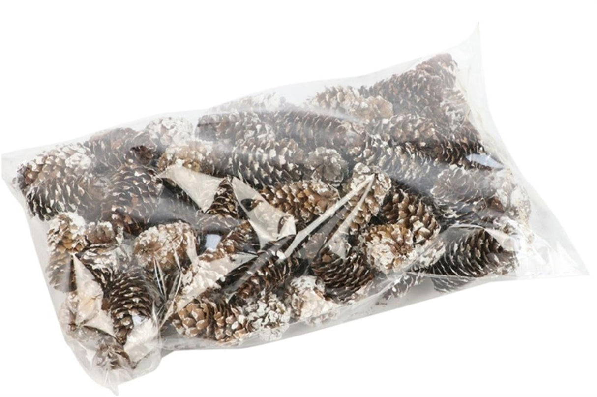 HBx přírodní živá dekorace sada šiška mini 180gr