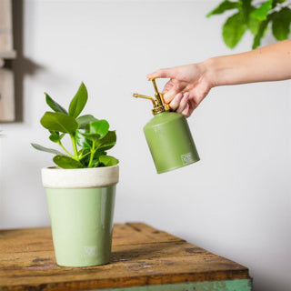 Esschert design plantenspuit groentinten assorti
