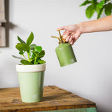 Esschert design plantenspuit groentinten assorti
