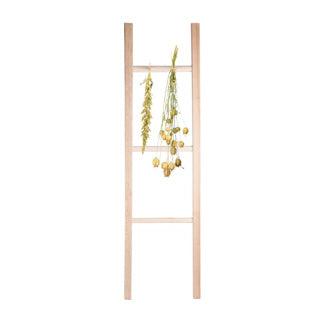 Flowers and herbs Dry ladder
